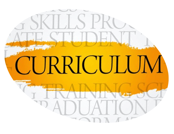 Curriculum