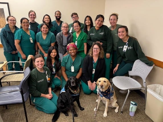 Pharmacy residents in conference room sitting behind 2 support dogs