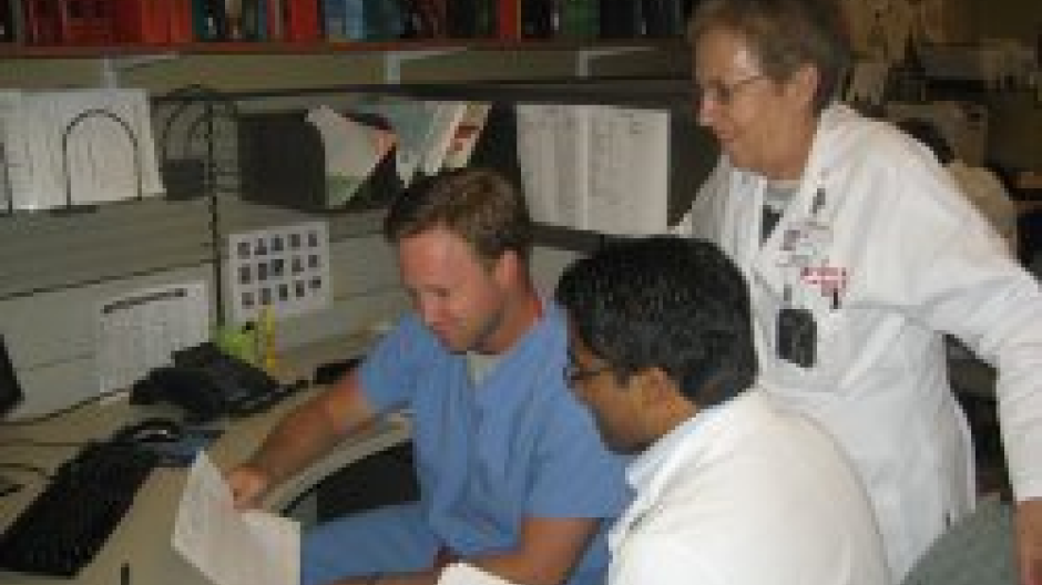 Training Experiences