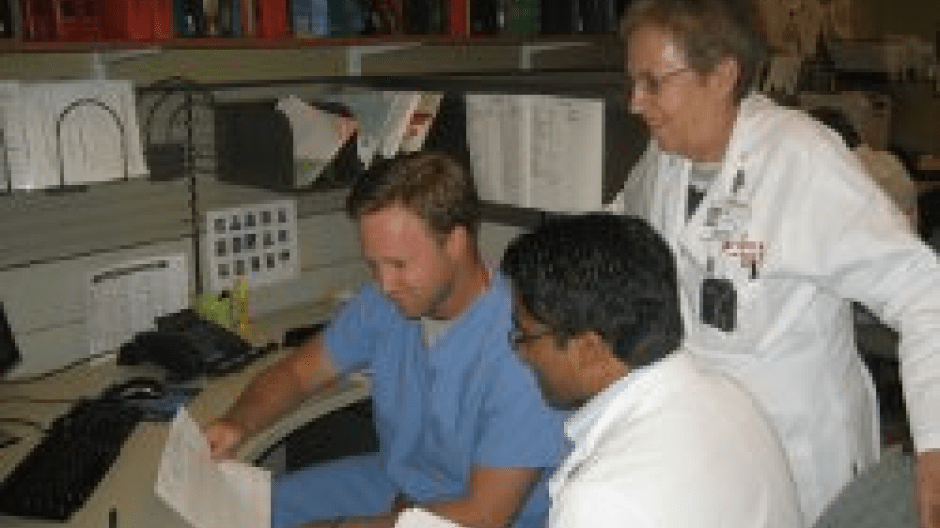 Training Experiences