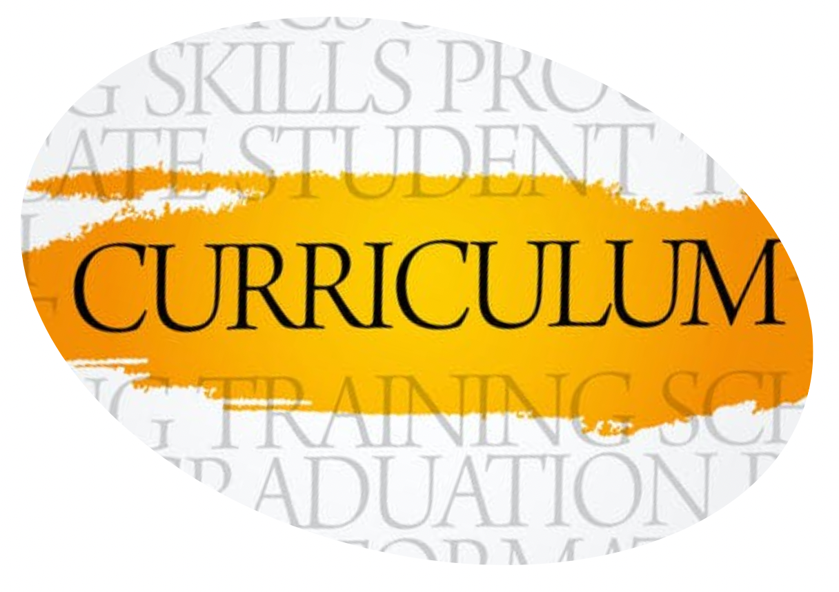 Curriculum